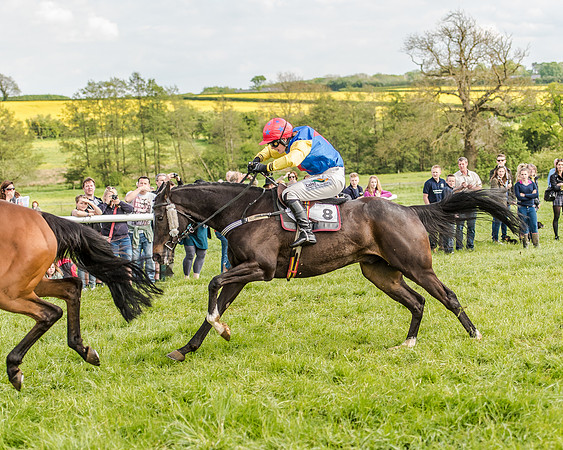 Race 5 - Division 1 Restricted Race (71 of 107).jpg