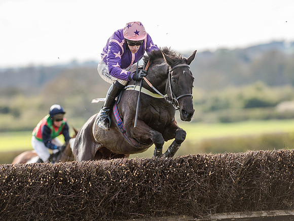 Race 5 - The Southern Grand national (60 of 96).jpg