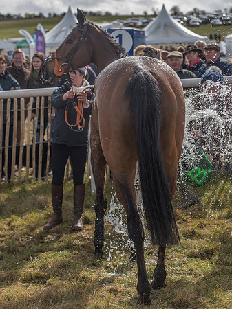 Race 3 - Mixed Open race (66 of 76).jpg