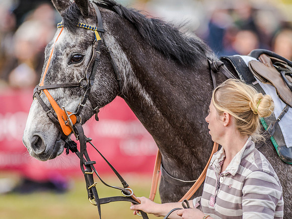 Race 6 - The Restricted Race [Nov-Vet] (12 of 84).jpg