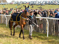 Race 3 - Mixed Open race (8 of 76).jpg