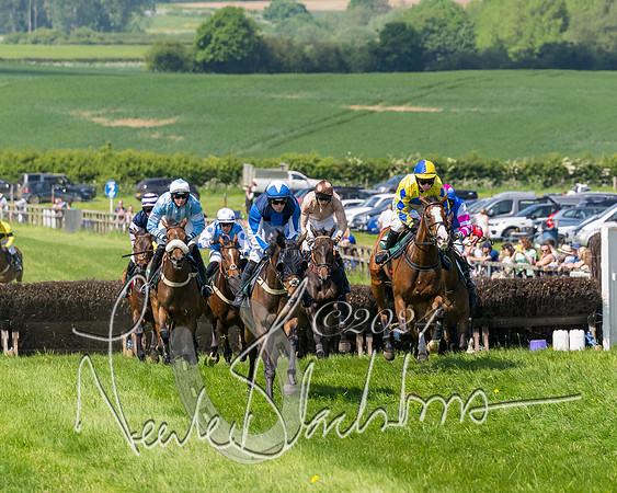 Race 2 - The Maiden  (213 of 442)
