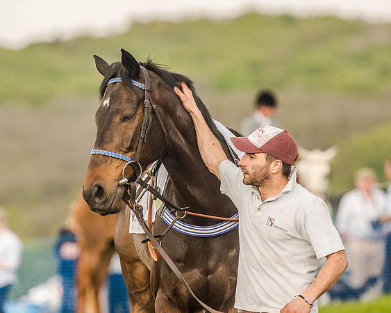 Race 7 - Hunt Members (8 of 106).jpg