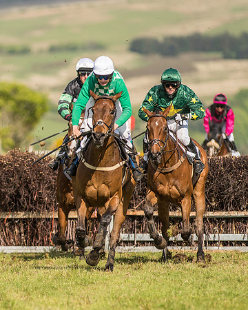 Race 6 - Open Maiden Race (55 of 71).jpg