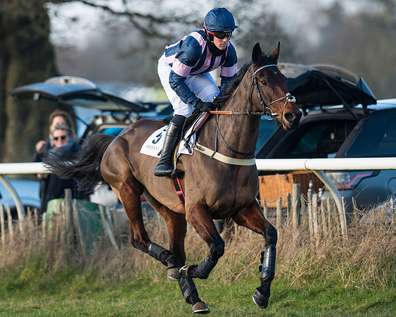 Race 2 - PPORA Novice Riders  (29 of 205)
