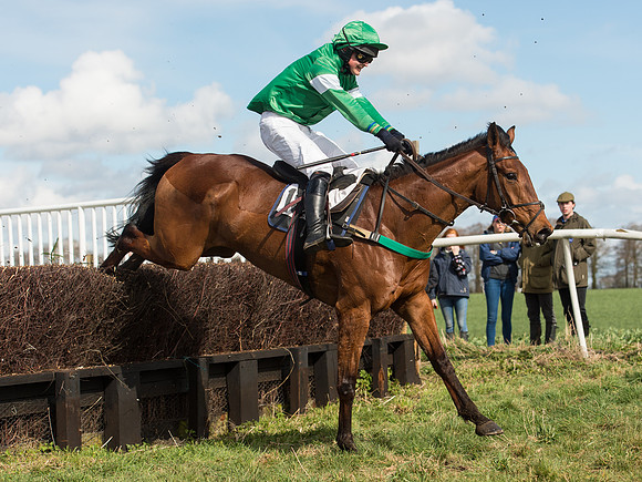 Race 2 - Confined Hunts Race (59 of 87).jpg