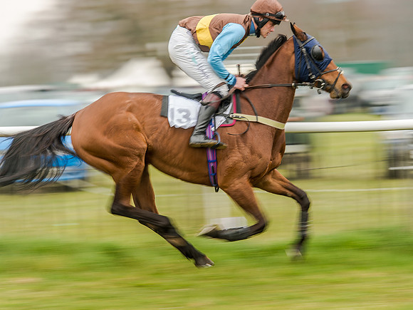 Race 5 - Open Maiden Division 2 (31 of 112).jpg