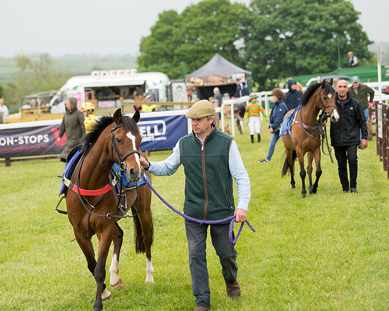 Pony Race 1  (9 of 125)
