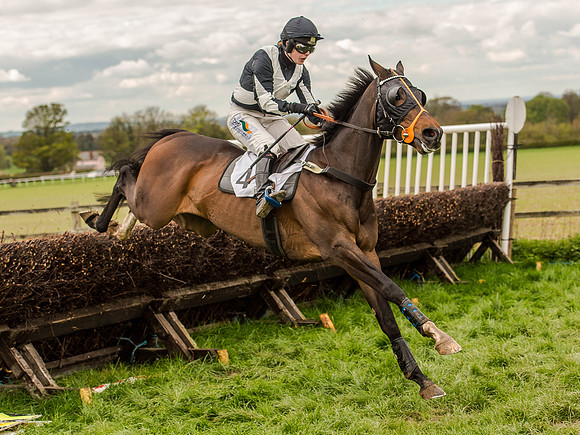 Race 3 - Young Horse maiden 2m5f (79 of 124).jpg