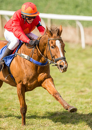 Pony Race 2 - 148cm  (33 of 49).jpg