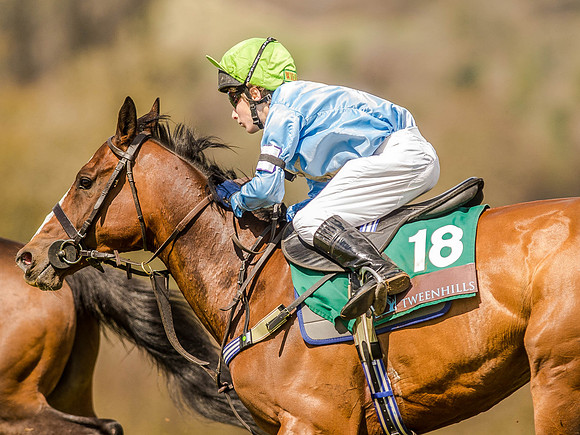 Pony Races (122 of 127).jpg