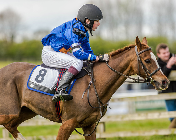Pony Race 2 (59 of 77).jpg