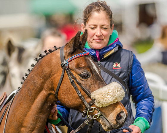 Pony Race 1  (12 of 65).jpg