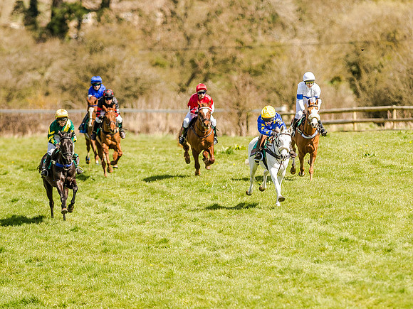 Pony Races (24 of 127).jpg