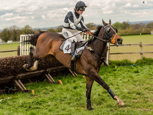 Race 3 - Young Horse maiden 2m5f (80 of 124).jpg