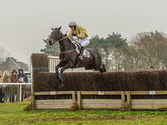 Race 5 - Open Maiden Division 2 (68 of 112).jpg