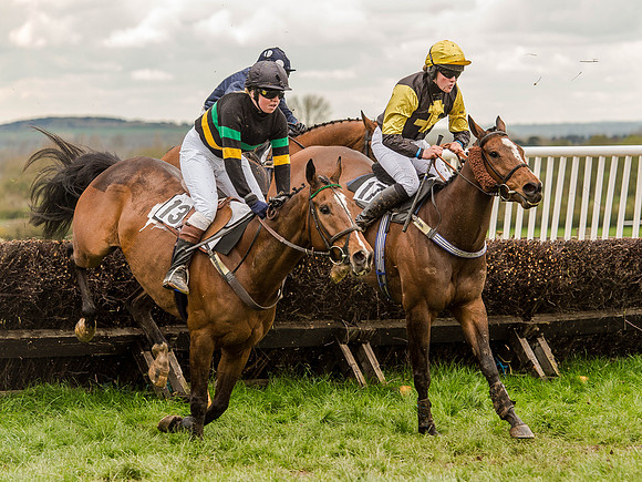 Race 2 - PPORA Club Members Conditions 2m5f (83 of 137).jpg