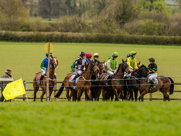 Race 2 - PPORA Club Members Conditions 2m5f (52 of 137).jpg
