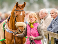 Race 5 - Open Maiden Division 1  (4 of 90).jpg