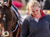 Race 3 - The Ladies Open (11 of 98).jpg