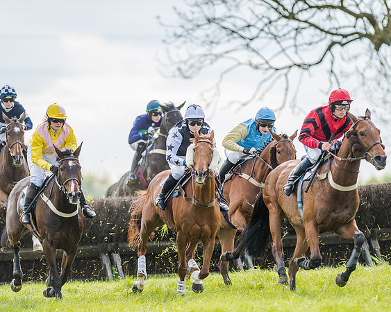Race 4 - PPORA Novice Riders (91 of 196).jpg