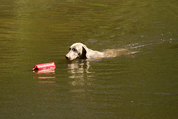 WCGB-04AUG-2013 Water Training Day 167
