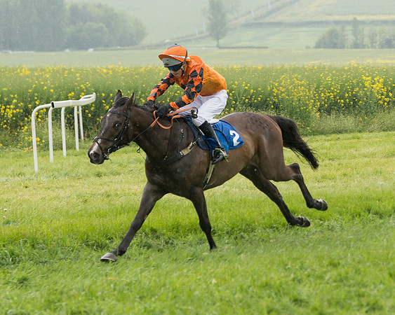 Pony Race 2 (70 of 113)