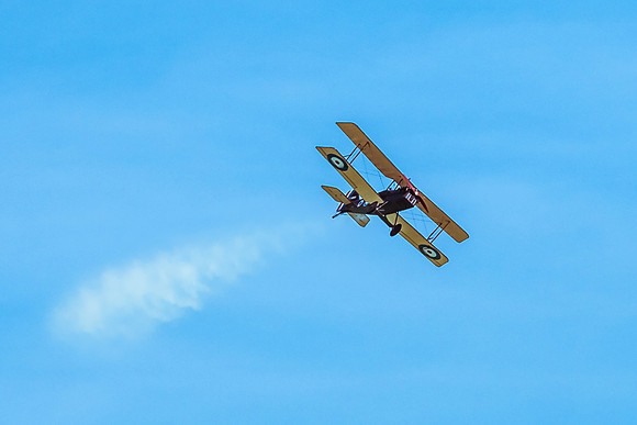 Great War Display Team (13 of 22)