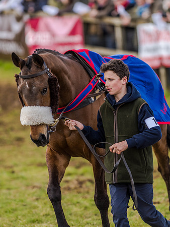 Race 3 - PPORA Club Members Novice Riders (8 of 75).jpg