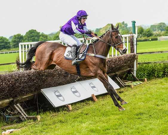 Race 2 - PPORA Members Novice Riders  (86 of 112).jpg