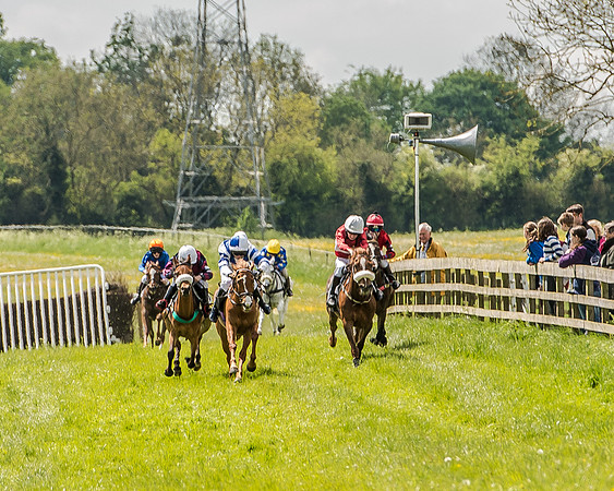 Pony Race 2 (40 of 57).jpg