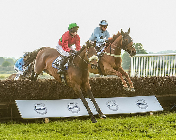 Race 7 - Div 2 - Open Maiden (90 of 163).jpg