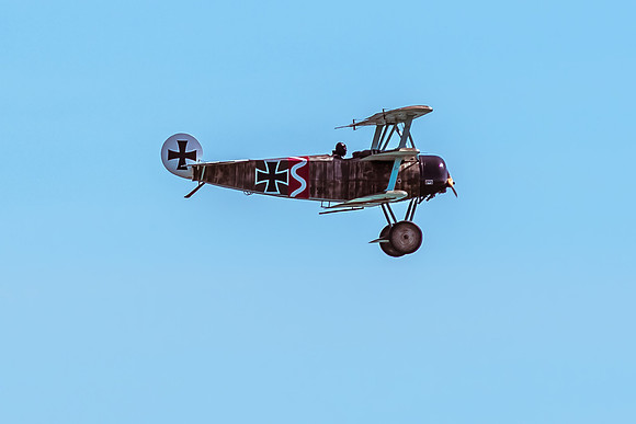 Great War Display Team (19 of 22)