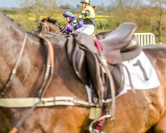 Race 8 - Hunt Challenge (48 of 96).jpg