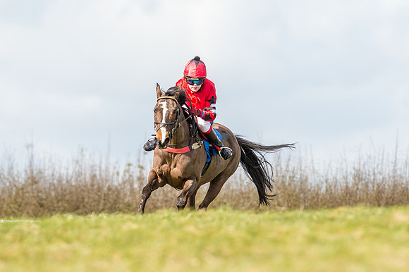 Pony Race 1 - 138cm  (10 of 57).jpg