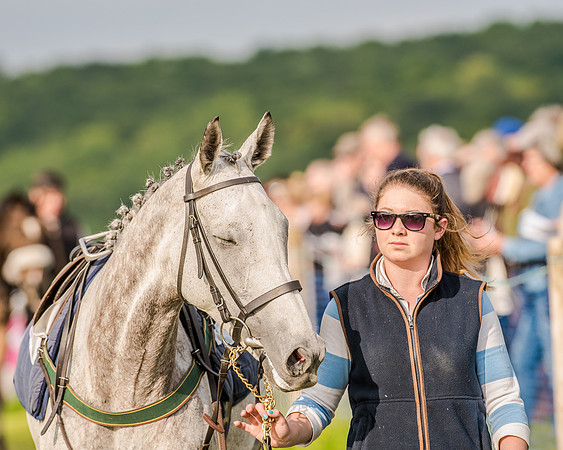 Race 7 - Div 2 - Open Maiden (34 of 163).jpg