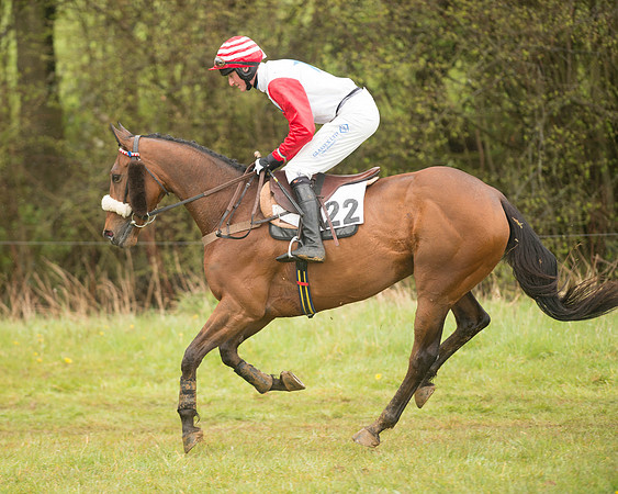 Race 5 - Open Maiden (33 of 147).jpg