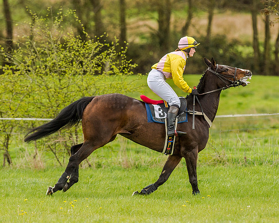 Race 1 - Hunt Members (23 of 90).jpg