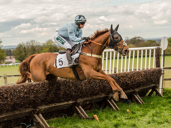 Race 3 - Young Horse maiden 2m5f (84 of 124).jpg