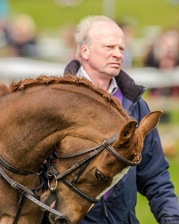 Pony Race 2 (36 of 77).jpg