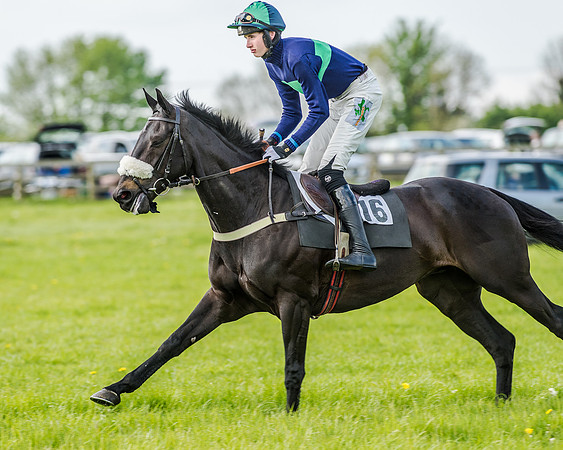 Race 4 - PPORA Novice Riders (75 of 196).jpg