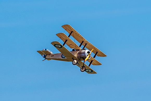 Great War Display Team (12 of 22)