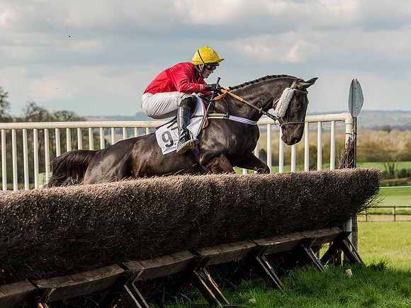 Race 5 - The Southern Grand national (23 of 96).jpg