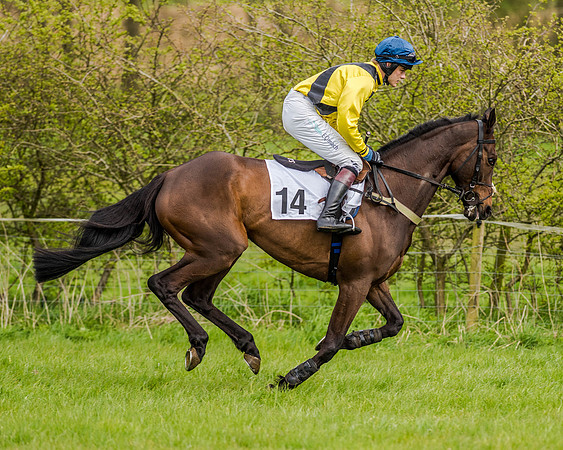 Race 7 - PPORA Members Conditions (39 of 192)