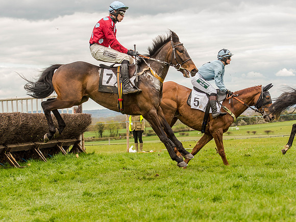 Race 3 - Young Horse maiden 2m5f (70 of 124).jpg