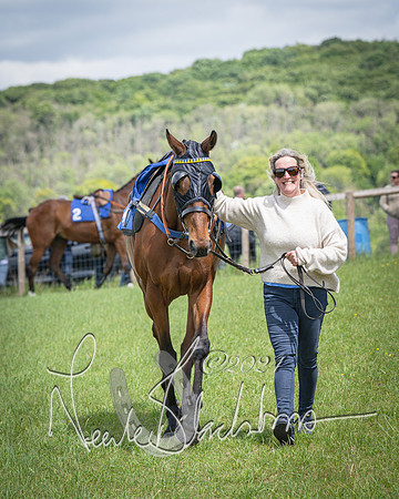 Race 1 - The owner-trainer Conditions race (5 of 118)