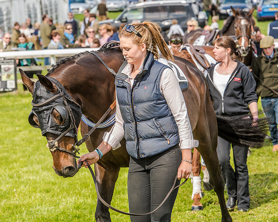 Race 4 - PPORA Novice Riders (30 of 196).jpg
