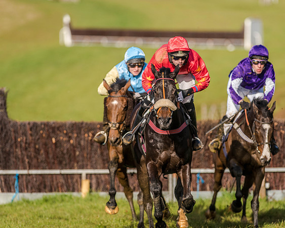 Race 7 - PPORA Club Members for Novice Riders (54 of 81).jpg