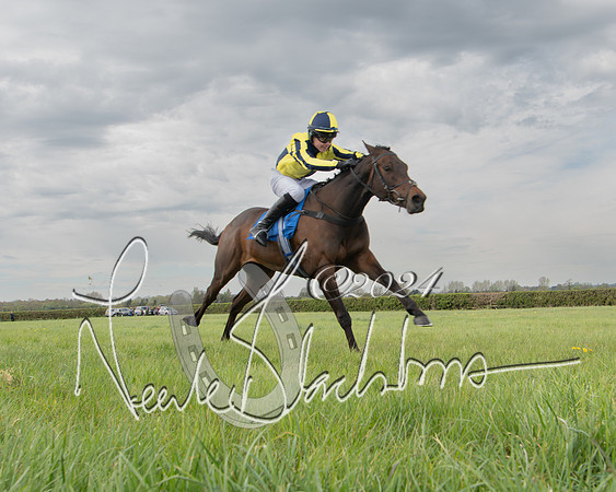 Pony Race 2 (39 of 84)-