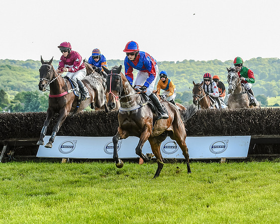 Race 7 - Div 1 - Open Maiden (35 of 94).jpg